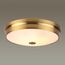 Odeon Light 4824/4C; 0043652 Настенно-потолочный светильник, изображение 2