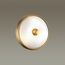 Odeon Light 4956/2; 0044889 Настенно-потолочный светильник, изображение 2