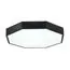 EVOLUCE SLE200842-01 Светильник потолочный Черный/Белый LED 1*45W 3000K/4000K/6000K, изображение 2