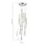 ST LUCE SL6205.103.09 Светильник подвесной ST-Luce Хром/Прозрачный LED 1*99W 4000K, изображение 3
