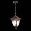 ST LUCE SL083.703.01 Светильник уличный подвесной ST-Luce Кофейный/Кофейный, Прозрачный E27 1*60W, изображение 4