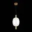 ST LUCE SL1582.313.01 Светильник подвесной ST-Luce Бронзовый/Прозрачный LED 1*7W 2700K, изображение 3