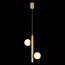 ST LUCE SL1185.203.02 Подвес ST-Luce Золотистый/Белый G9 2*5W, изображение 3