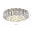 ST LUCE SL1662.102.19 Светильник потолочный ST-Luce Никель/Никель, Прозрачный E14 19*60W, изображение 4