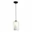 ST LUCE SL1169.103.01 Подвес ST-Luce Черный/Прозрачный, Белый E27 1*40W, изображение 3