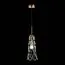 ST LUCE SL1016.203.01 Светильник подвесной ST-Luce Золотистый/Золотистый, Прозрачный E27 1*60W, изображение 3