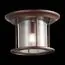 ST LUCE SL080.402.01 Светильник уличный потолочный ST-Luce Темный кофе/Прозрачный, Темный кофе E27 1*60W, изображение 3