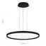 ST LUCE SL6015.403.01 Светильник подвесной ST-Luce Черный/Белый LED 1*45W 3000K-6000K, изображение 4