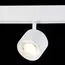 ST LUCE ST353.546.06 Магнитный трековый светильник белый LED 1*6W 4000K 560Lm Ra>80 36° IP20 L120xW81xH138 4, изображение 4
