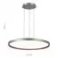 ST LUCE SL6015.413.01 Светильник подвесной ST-Luce Темно-Серый/Белый LED 1*45W 3000K-6000K, изображение 4