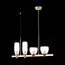 ST LUCE SL1119.203.04 Светильник подвесной ST-Luce Золотистый/Прозрачный E14 4*40W, изображение 3