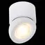 ST LUCE ST654.532.10 Светильник потолочный Белый LED 1*10W 3000K 850Lm Ra>90 38° IP20 D95xH96 180-240V, изображение 4