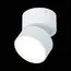 ST LUCE ST651.542.09 Светильник потолочный поворотный Белый LED 1*9W 4000K 720Lm Ra>90 120° IP20 D85xH87 170, изображение 3