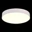 ST LUCE ST606.532.48 Светильник потолочный Белый LED 1*48W 3000K 4 320Lm Ra>85 120° IP20 D400xH55 185-265V, изображение 2