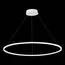 ST LUCE ST605.543.46 Светильник подвесной ST-Luce Белый/Белый LED 1*46W 4000K, изображение 2