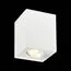 ST LUCE ST109.507.01 Светильник потолочный Белый GU10 1*50W  L100xW100xH123 220V Без ламп, изображение 2