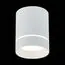 ST LUCE ST115.542.12 Светильник потолочный Белый LED 1*12W 4000K 840Lm Ra>90 120° IP20 D79xH100 170-240V, изображение 2