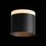 ST LUCE ST102.402.12 Светильник потолочный Черный LED 1*12W 3000K 936Lm Ra>80 120° IP20 D100xH90 170-240V, изображение 3