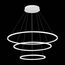 ST LUCE ST605.543.114 Светильник подвесной ST-Luce Белый/Белый LED 1*114W 4000K, изображение 3