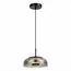 ST LUCE SL6002.403.01 Подвес ST-Luce Черный/Дымчатый LED 1*7W 4000K, изображение 2