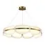ST LUCE SL1304.203.56 Люстра подвесная ST-Luce Золотистый/Белый LED 1*56W 3000K, изображение 2