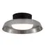 ST LUCE SL6019.412.01 Светильник потолочный ST-Luce Черный/Дымчатый, Белый LED 1*36W 3000K, изображение 2