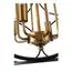 ST LUCE SL1012.423.08 Светильник подвесной ST-Luce Золотистый/Черный E14 8*40W, изображение 3
