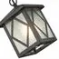 ST LUCE SL084.403.01 Светильник уличный подвесной ST-Luce Черный/Черный, Прозрачный E27 1*60W, изображение 3