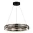 ST LUCE SL6019.333.01 Светильник подвесной ST-Luce Черный/Дымчатый, Белый LED 1*36W 3000K, изображение 2