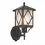 ST LUCE SL084.401.01 Светильник уличный настенный ST-Luce Черный/Черный, Прозрачный E27 1*60W, изображение 2