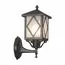 ST LUCE SL084.401.01 Светильник уличный настенный ST-Luce Черный/Черный, Прозрачный E27 1*60W, изображение 3