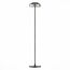 ST LUCE SL6002.405.01 Торшер ST-Luce Черный/Дымчатый LED 1*7W 4000K, изображение 2