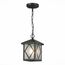 ST LUCE SL084.403.01 Светильник уличный подвесной ST-Luce Черный/Черный, Прозрачный E27 1*60W, изображение 2