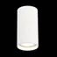 ST LUCE ST157.542.15 Светильник потолочный Белый LED 1*15W 4000K 1 200Lm Ra>90 60° IP44 D75xH140 220-265V, изображение 3