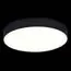ST LUCE ST606.442.48 Светильник потолочный Черный LED 1*48W 4000K 4 320Lm Ra>85 120° IP20 D400xH55 185-265V, изображение 3