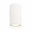 ST LUCE ST157.542.15 Светильник потолочный Белый LED 1*15W 4000K 1 200Lm Ra>90 60° IP44 D75xH140 220-265V, изображение 2