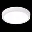 ST LUCE ST112.532.18 Светильник настенно-потолочный Белый LED 1*18W 3000K 1 225Lm Ra80 120° IP20 D210xH28 90, изображение 3