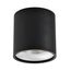 ST LUCE ST165.432.12 Светильник потолочный Черный LED 1*12W 3000K 840Lm Ra>90 36° IP44 D80xH85 85-265V, изображение 2