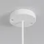 Maytoni Outdoor O594PL-01W Подвесной светильник Erda, изображение 6