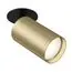 Maytoni C049CL-1BMG Спот FOCUS S