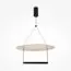 Maytoni Decorative MOD280PL-L30B3K Светильник Ambience, изображение 2