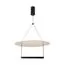 Maytoni Decorative MOD280PL-L30B3K Светильник Ambience