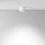 Maytoni Technical C086CL-GX53-SRD-WS Светильник потолочный Hoop, изображение 4