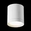 Maytoni Technical C086CM-GX53-MRD-W Светильник потолочный Hoop, изображение 5