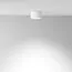 Maytoni Technical C086CL-GX53-SRD-W Светильник потолочный Hoop, изображение 4
