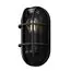 Maytoni Outdoor O449WL-01GF1 Настенный светильник Candle