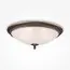 Maytoni Decorative C908-CL-04-R Потолочный светильник Pascal, изображение 3