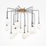 Maytoni Decorative MOD176PL-16G Люстра подвесная Branch, изображение 2