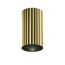 Maytoni C106CL-01-GU10-BS Светильник потолочный Calipso