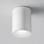 Maytoni Technical C029CL-01W Потолочный светильник Alfa, изображение 3